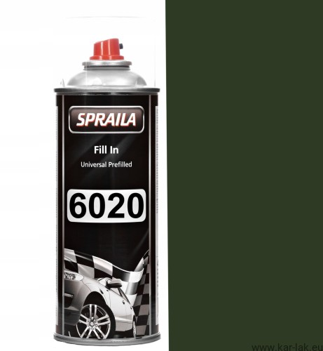 6020.jpg