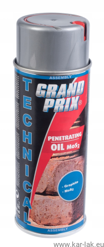 MOTIP GRAND PRIX ODRDZEWIACZ.png