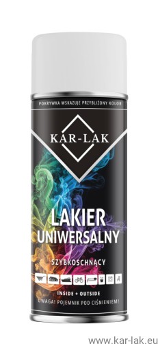 lakier uniwersalny matt 9003.jpg