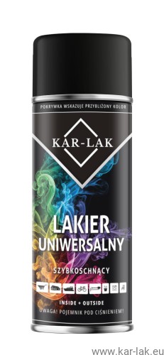lakier uniwersalny matt 9011.jpg