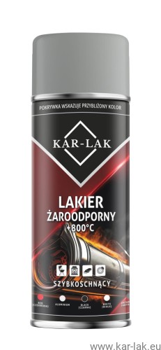 lakierzaroodporny matt 9006.jpg